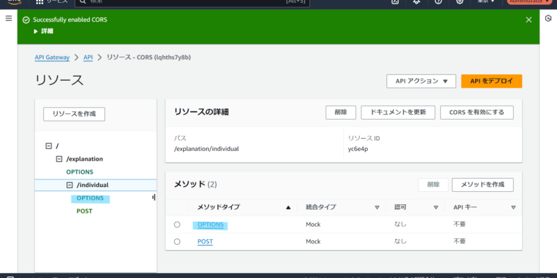 作成されたOPTIONSを確認すると入力したCORSの内容が設定されています。